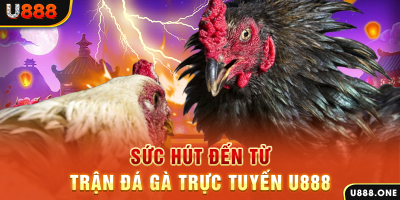 8kbet123 đá gà trực tiếp c1