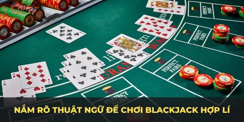 8kbet123 c1 gà chọi