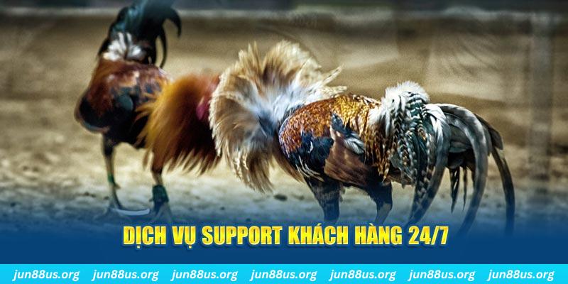 8kbet123 ÁT CHỦ BÀI GIÀNH LẤY ZHUANG NIUNIU ( XEM 4 LÁ )