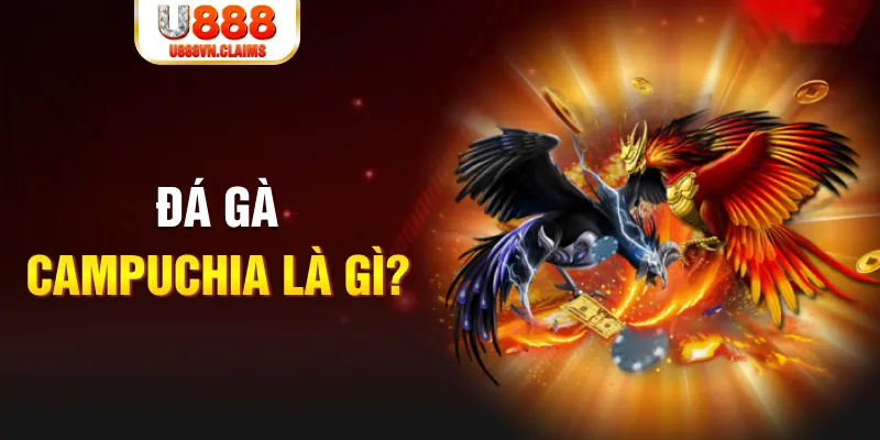 8kbet123 bắn cá vàng h5