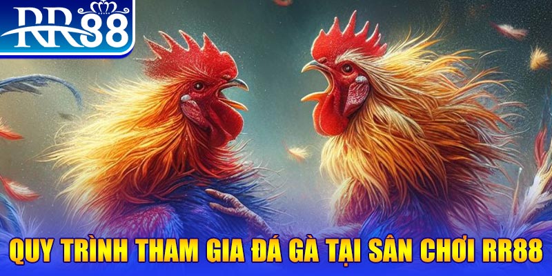 8kbet123 đá gà cam 67