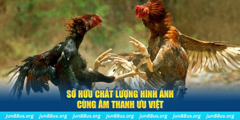 8kbet123 PP Điện Tử