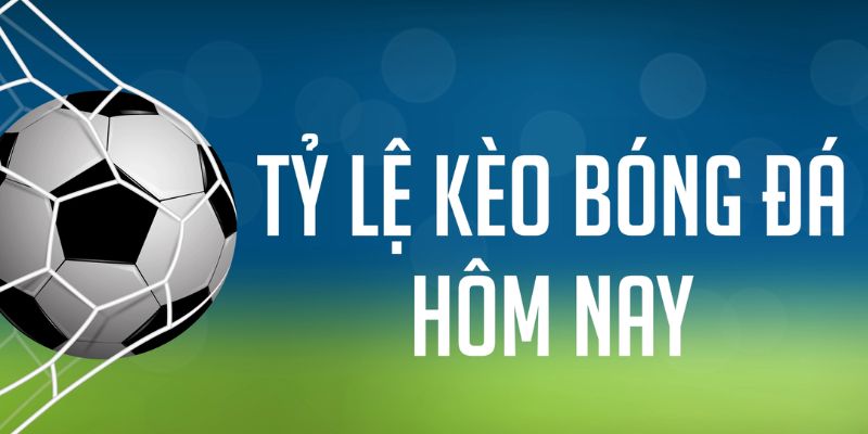 8kbet123 gà chọi c1 mới nhất