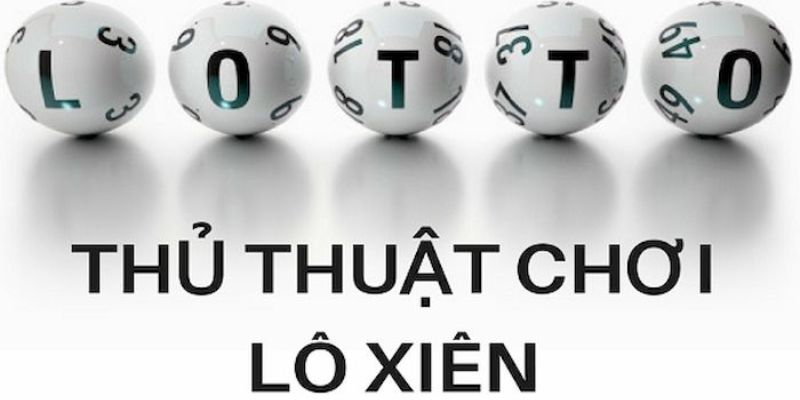 8kbet123 trực tiếp đá gà thomo