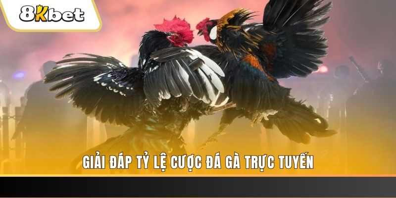 8kbet123 xổ số đài miền trung