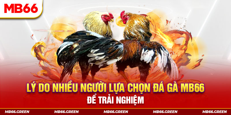 8kbet123 xổ số miền bắc thứ bảy hàng tuần