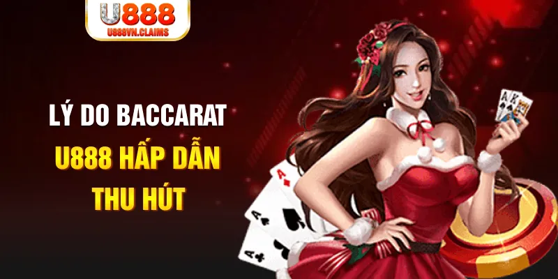 8kbet123 what is a casino loyalty program