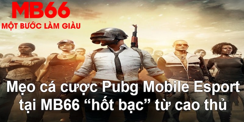 8kbet123 VA Bắn cá