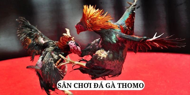 8kbet123 trực tiếp xổ số miền bắc